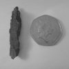 29 Shrapnel that wounded Bill - with 50p high reslow res.jpg