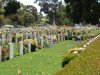 Springvale Cemetery Web.jpg