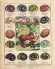 This 1920s Boy's Own Paper poster displays main International caps (both rugby and association f.jpg