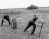 Members of 3rd:4th County of London Yeomanry (Sharpshooters) enjoy a game of cricket, 1944. NAM .jpg