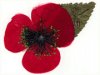 Silk Poppy - one of the original poppies sold .jpg