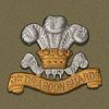 150px-3rd_Dragoon_Guards_Badge.jpg